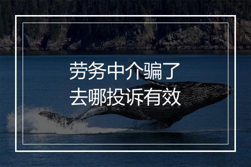 劳务中介骗了去哪投诉有效
