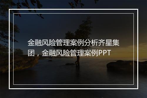 金融风险管理案例分析齐星集团，金融风险管理案例PPT