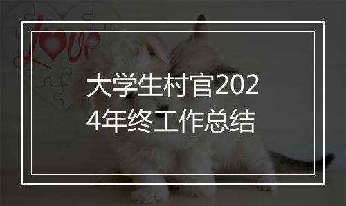 大学生村官2024年终工作总结
