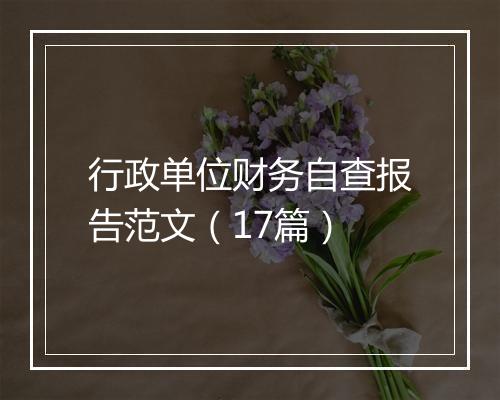 行政单位财务自查报告范文（17篇）