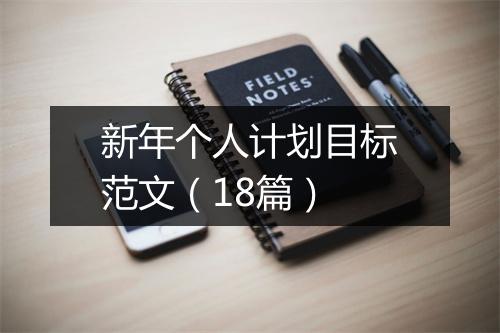 新年个人计划目标范文（18篇）