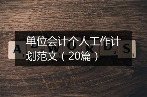 单位会计个人工作计划范文（20篇）