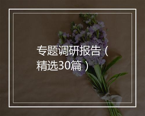 专题调研报告（精选30篇）
