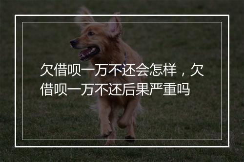 欠借呗一万不还会怎样，欠借呗一万不还后果严重吗