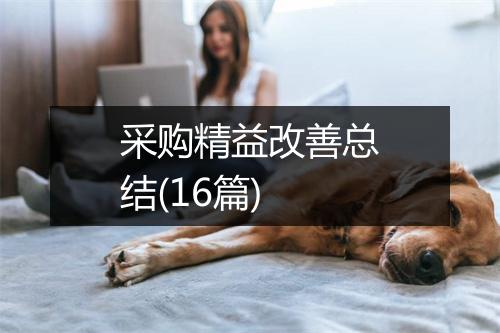 采购精益改善总结(16篇)