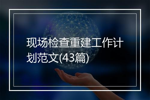 现场检查重建工作计划范文(43篇)