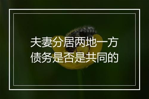夫妻分居两地一方债务是否是共同的