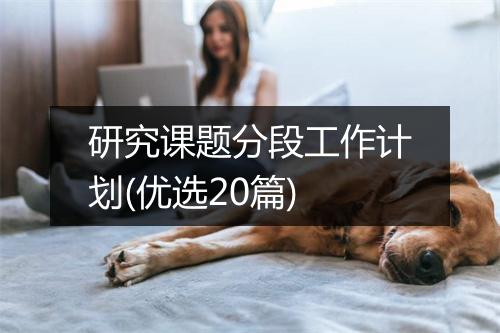 研究课题分段工作计划(优选20篇)