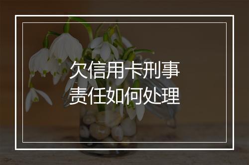 欠信用卡刑事责任如何处理