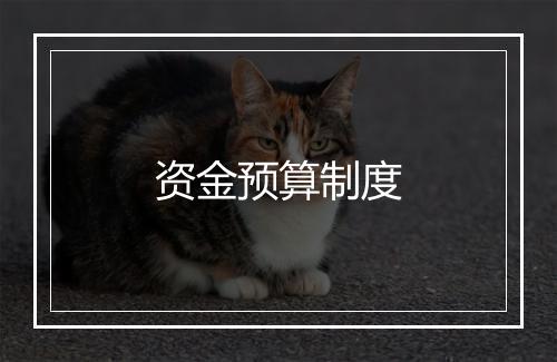 资金预算制度