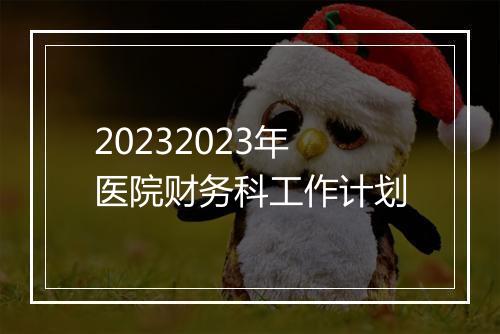 20232023年医院财务科工作计划