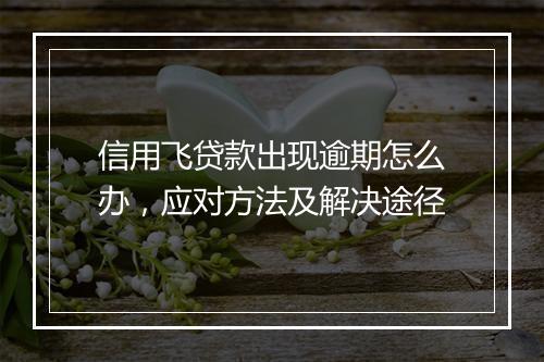 信用飞贷款出现逾期怎么办，应对方法及解决途径