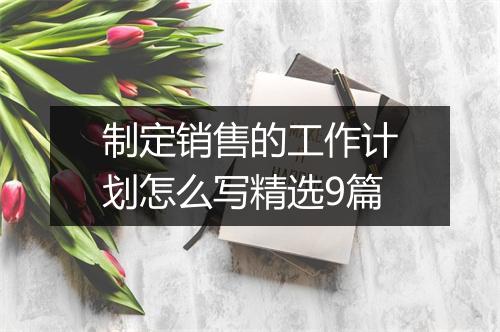 制定销售的工作计划怎么写精选9篇
