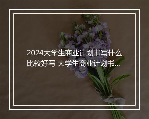 2024大学生商业计划书写什么比较好写 大学生商业计划书精选8篇