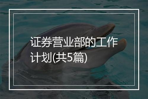 证券营业部的工作计划(共5篇)