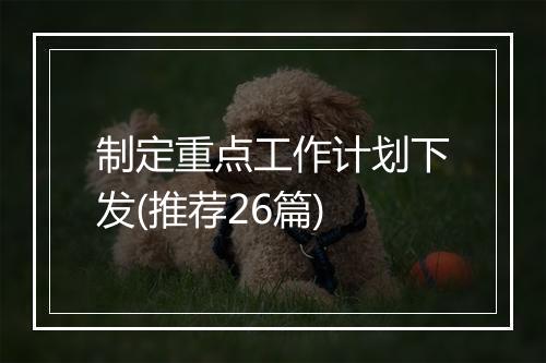 制定重点工作计划下发(推荐26篇)