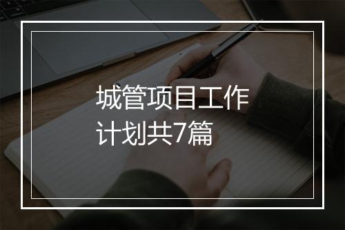 城管项目工作计划共7篇