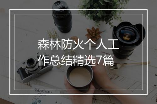 森林防火个人工作总结精选7篇