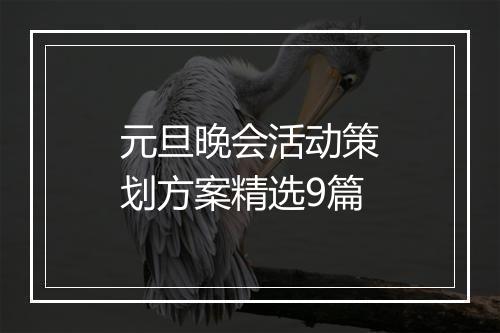 元旦晚会活动策划方案精选9篇