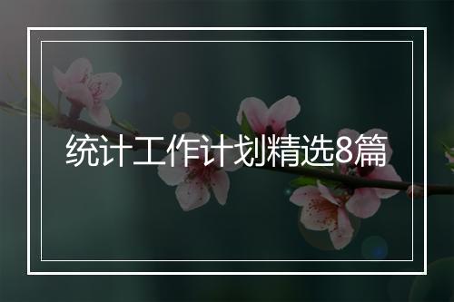 统计工作计划精选8篇