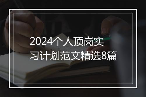 2024个人顶岗实习计划范文精选8篇