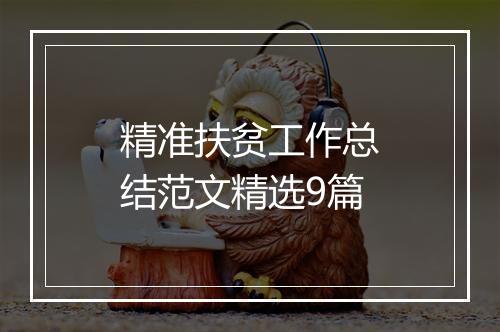 精准扶贫工作总结范文精选9篇