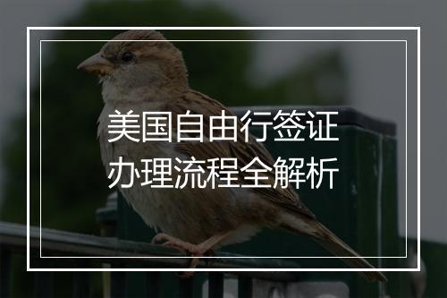 美国自由行签证办理流程全解析
