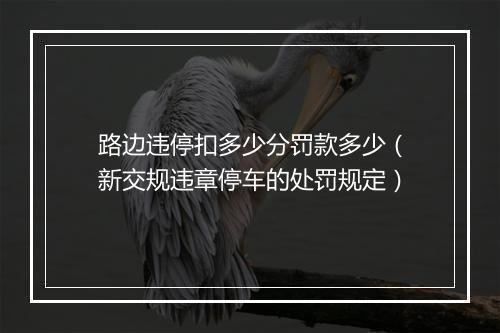 路边违停扣多少分罚款多少（新交规违章停车的处罚规定）