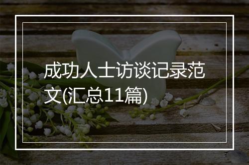 成功人士访谈记录范文(汇总11篇)