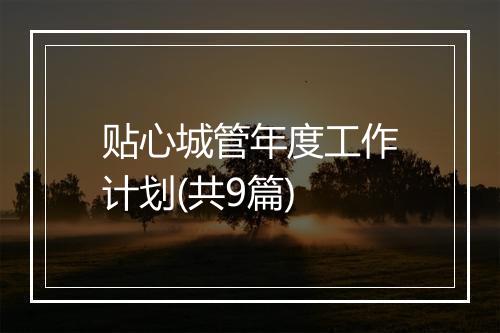 贴心城管年度工作计划(共9篇)