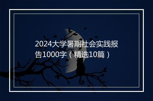 2024大学暑期社会实践报告1000字（精选10篇）