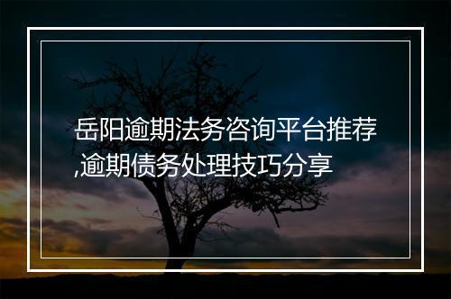 岳阳逾期法务咨询平台推荐,逾期债务处理技巧分享