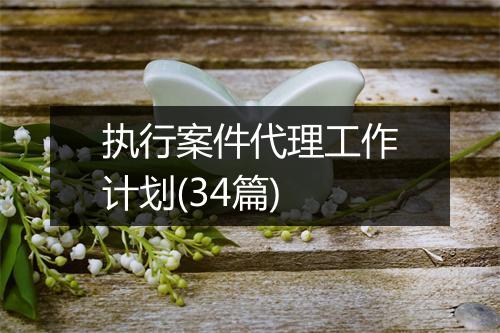 执行案件代理工作计划(34篇)
