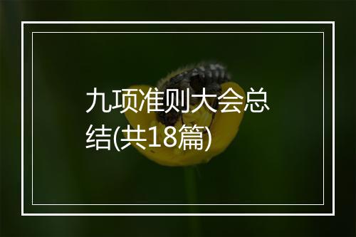 九项准则大会总结(共18篇)