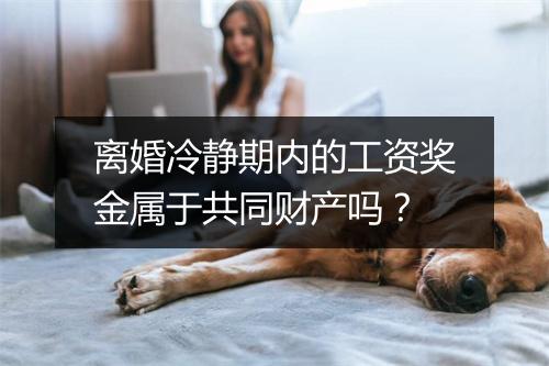 离婚冷静期内的工资奖金属于共同财产吗？