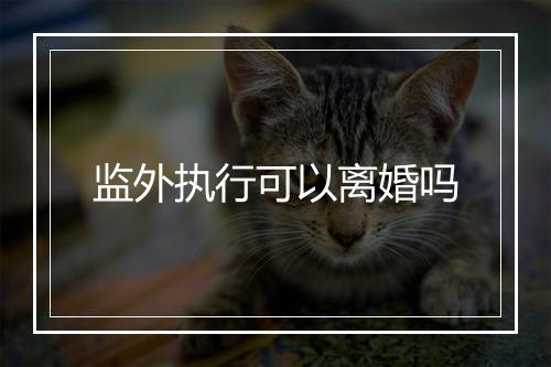 监外执行可以离婚吗