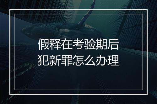 假释在考验期后犯新罪怎么办理