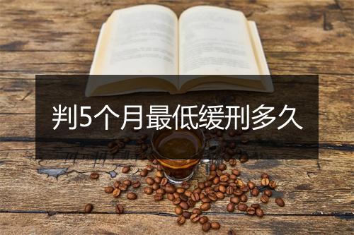 判5个月最低缓刑多久