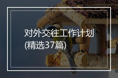 对外交往工作计划(精选37篇)
