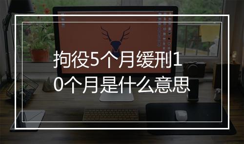 拘役5个月缓刑10个月是什么意思