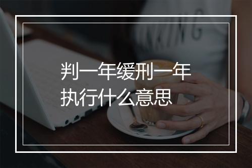 判一年缓刑一年执行什么意思