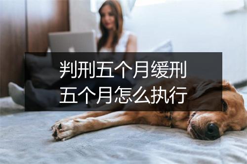 判刑五个月缓刑五个月怎么执行