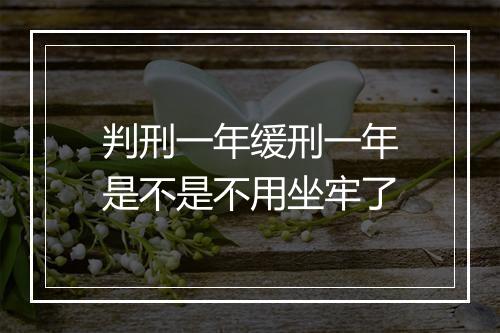 判刑一年缓刑一年是不是不用坐牢了