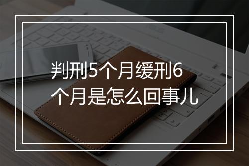 判刑5个月缓刑6个月是怎么回事儿