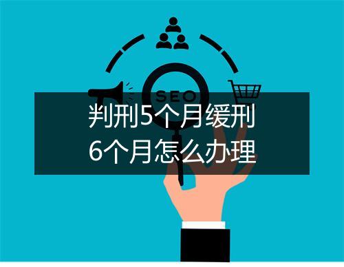 判刑5个月缓刑6个月怎么办理