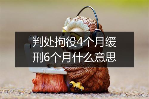 判处拘役4个月缓刑6个月什么意思