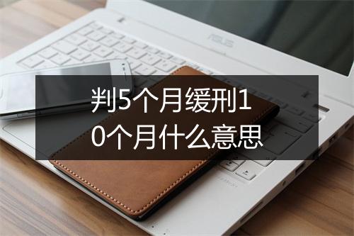 判5个月缓刑10个月什么意思