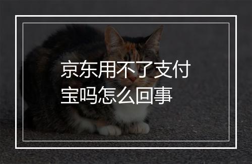 京东用不了支付宝吗怎么回事