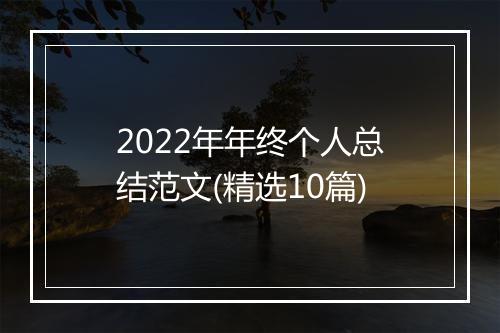 2022年年终个人总结范文(精选10篇)