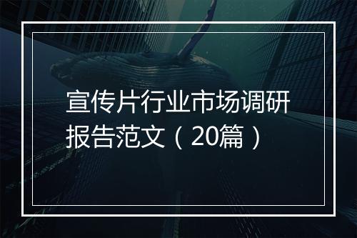宣传片行业市场调研报告范文（20篇）